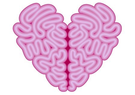 12780044 - red heart brain, vector illustration